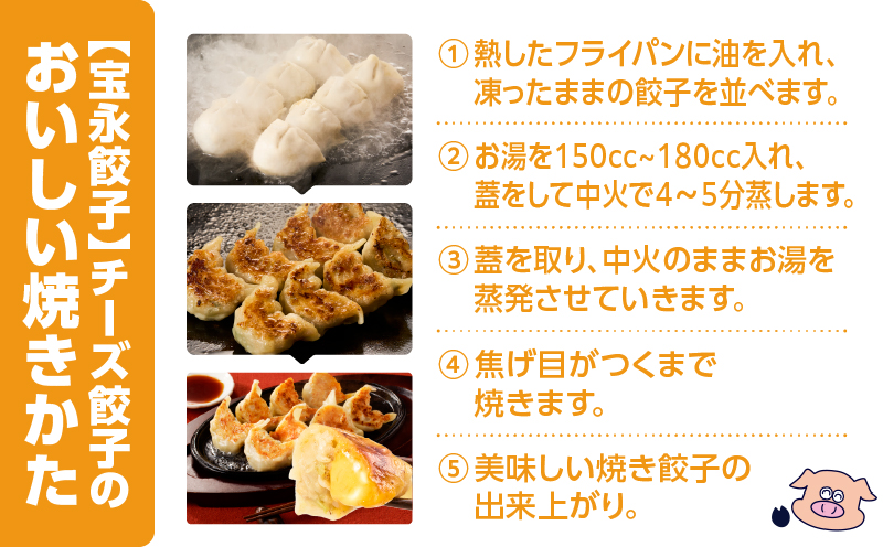 【定期便・全6回 毎月】手包み餃子 ぎょうざの宝永 チーズ餃子60個セット（宝永餃子15個入×2袋・チーズ餃子15個入×2袋） 定期便 定期 惣菜 総菜 餃子 ぎょうざ ギョウザ 冷凍餃子 冷凍