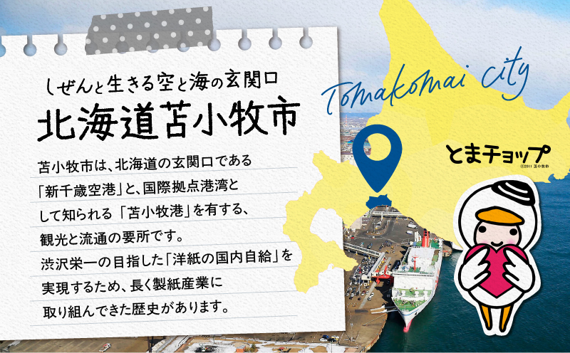 北海道苫小牧市応援寄附金（返礼品なし）10,000円 寄附 寄付 寄附金 寄付金 応援寄附金 応援寄付金 返礼品なし 雇用環境の整備 子育て環境の整備 移住促進