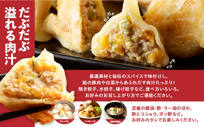 だぶだぶの肉汁をすすりたくなる餃子ちぃーず 100個 餃子 ぎょうざ ギョウザ 惣菜 総菜 豚 豚肉 ぶた 加工品 肉加工品