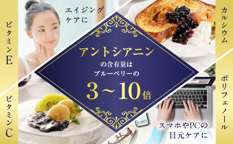 ハスカップジャム食べ比べセット ジャム ハスカップジャム パン フルーツ 果物 加工食品 加工品 フルーツ加工品 朝食 便利