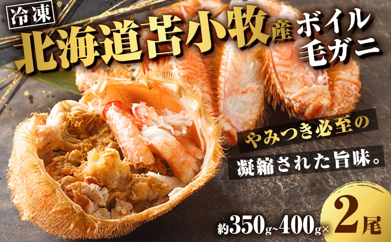 北海道苫小牧産冷凍ボイル毛ガニ（350g〜400g 2尾入）  蟹 カニ かに 海鮮 魚介 毛ガニ 毛がに 味噌汁 鍋