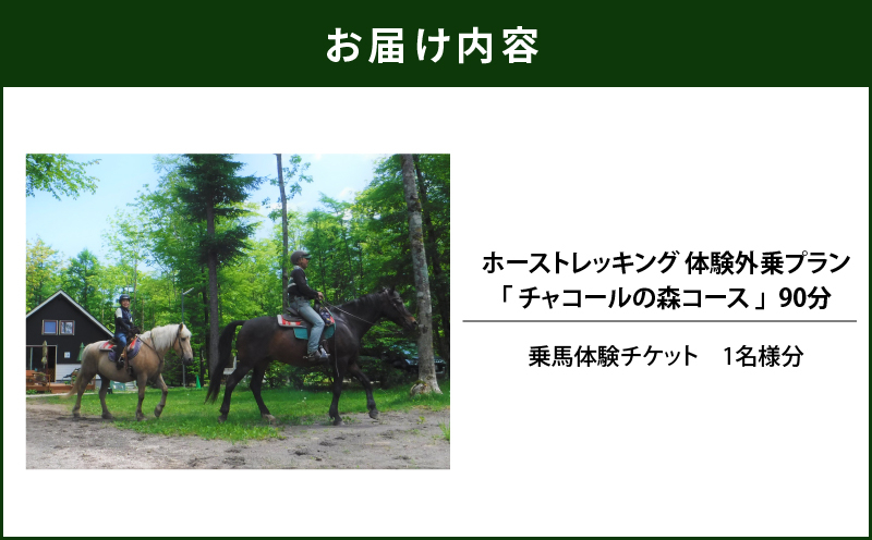 ホーストレッキング 体験外乗プラン 90分 「チャコールの森コース」 山歩き トレッキング アクティビティ 体験チケット チケット 券 ホーストレッキング  レッスン 野外トレッキング