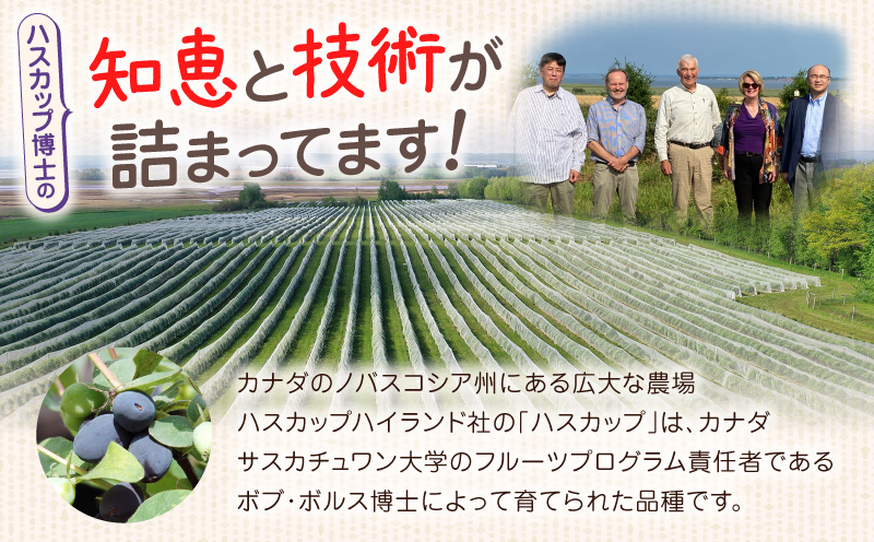 カナダ産 苫小牧市民還元 ハスカップジャム 435g（1瓶） ハスカップ ジャム スイーツ フルーツ 無農薬 食パン ヨーグルト トースト クラッカー 甘い