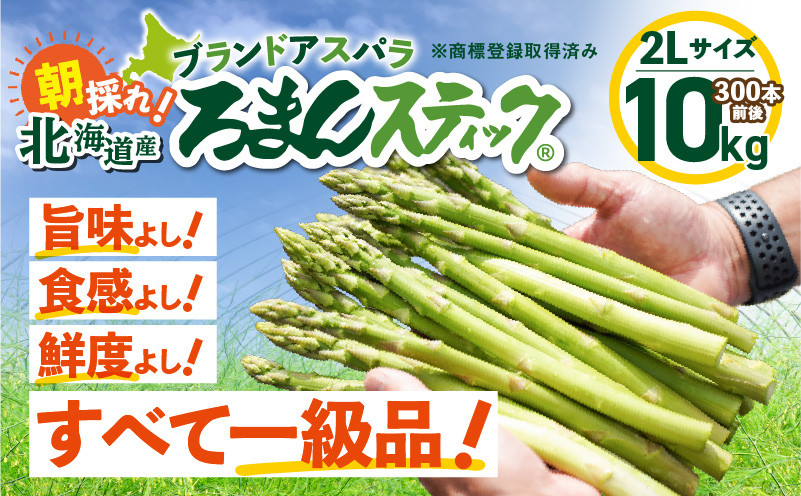 ロマンス農園 ろまんスティック 2Lサイズ 10kg アスパラガス 野菜 やさい 2Lサイズ 旨味 うま味 新鮮 やわらかい みずみずしい 糖度