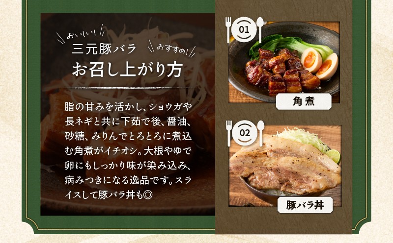 【全3回 毎月定期便】日本の米育ち平田牧場三元豚バラブロック 600g 定期便 定期 肉 お肉 にく 豚 豚肉 ブタ ぶた 三元豚