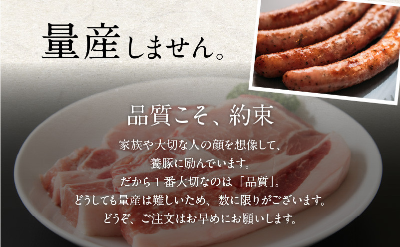 【10営業日以内に発送】B1とんちゃんの豚まん6個入り 豚まん 肉まん 中華まん 惣菜 総菜 冷凍 B1とんちゃん ブランド豚 苫小牧産 豚
