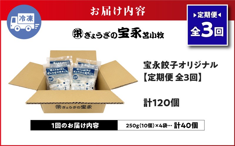 【全3回定期便（毎月）】宝永餃子10個入セット（宝永餃子10個入×4袋）合計1.0kg 定期便 定期 惣菜 総菜 ギョウザ 餃子 冷凍餃子 焼き餃子 水餃子 おかず