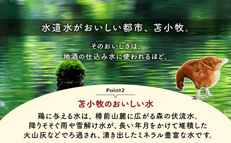 【全3回定期便】訳ありたまご　（たまごトレー） 定期便 定期 訳あり卵 訳あり 卵 卵かけごはん HokkaidoGreenCompany ふるさと納税 北海道 苫小牧市