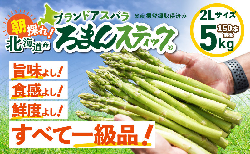 ロマンス農園 ろまんスティック 2Lサイズ 5kg アスパラガス 野菜 やさい 2Lサイズ 旨味 うま味 新鮮 やわらかい みずみずしい 糖度