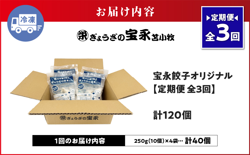 【定期便・全3回 毎月】手包み餃子 ぎょうざの宝永 宝永餃子40個セット（宝永餃子10個入×4袋） 定期便 定期 惣菜 総菜 ギョウザ 餃子 冷凍餃子 焼き餃子 水餃子 おかず