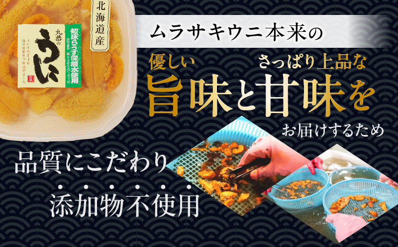 無添加生ムラサキウニ 塩水パック 100g 生ムラサキウニ 生うに うに ウニ 雲丹 無添加 海産物 季節限定 生食用 ムラサキウニ