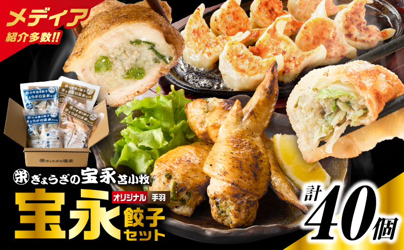 手包み餃子 ぎょうざの宝永 手羽餃子40個セット（宝永餃子15個入×2袋・手羽餃子5個入×2袋） 惣菜 総菜 餃子 ぎょうざ ギョウザ 手羽餃子 冷凍餃子 冷凍 豚 ブタ