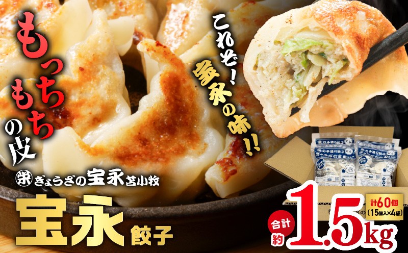 【全3回定期便（4ヶ月毎）】ぎょうざの宝永 宝永餃子 15個入セット（宝永餃子15個入×4袋）合計1.5kg 定期便 定期 惣菜 総菜 餃子 ぎょうざ ギョウザ 冷凍餃子 冷凍 ぎょうざの宝永