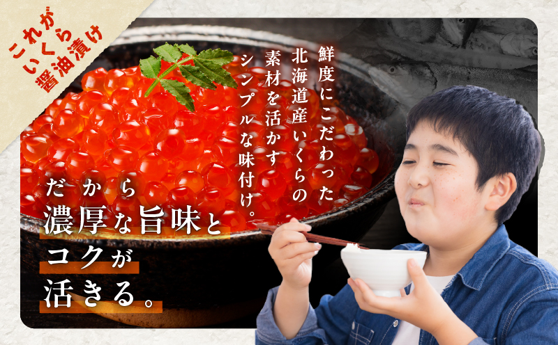 【全6回定期便（隔月）】【王子サーモン】生を超えた「とろ生サーモン」と北海道産秋鮭 いくら醤油漬セット 計580g 魚 魚介