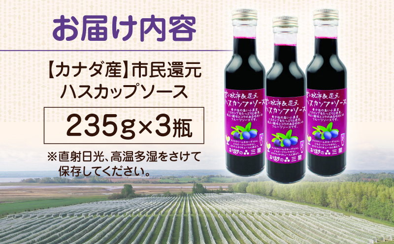 カナダ産 市民還元ハスカップソース 235g（3瓶） バニラアイス ヨーグルト フレーバー カクテル ビネガードリンク リキュール フルーツソース