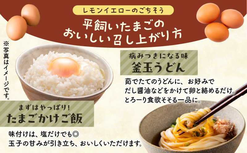 【全3回定期便】平飼いたまご 定期便 定期 卵 たまご 平飼い卵 卵かけごはん HokkaidoGreenCompany ふるさと納税 北海道 苫小牧市