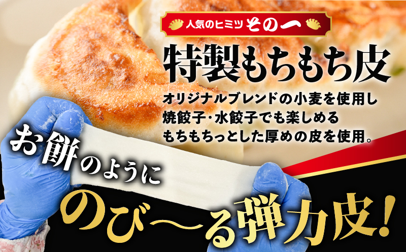 【定期便・全6回 毎月】手包み餃子 ぎょうざの宝永 しそ餃子60個セット（宝永餃子15個入×2袋・しそ餃子15個入×2袋） 定期便 定期 惣菜 総菜 ギョウザ しそ餃子 餃子 冷凍餃子 焼き餃子 水餃子