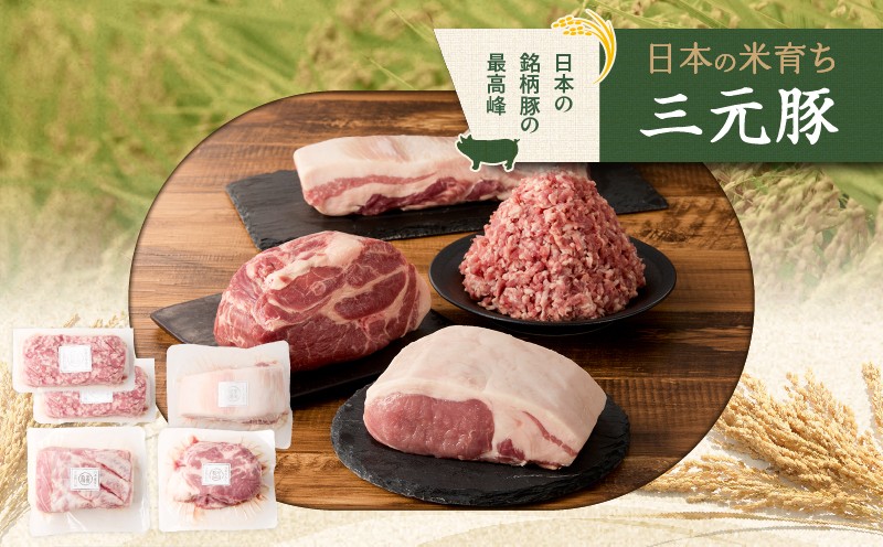 日本の米育ち平田牧場 三元豚ロースブロック・バラブロック・肩ロースブロック・挽肉　各600g（計2.4kg） 肉 お肉 にく 豚 豚肉 ブタ ぶた 三元豚 ロースブロック バラブロック