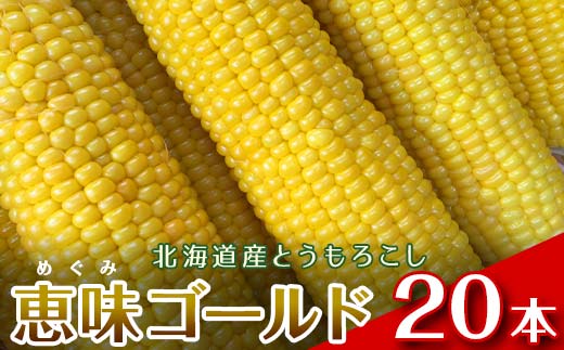 【2026年8月中旬発送開始】北海道産とうもろこし（恵味ゴールド20本） EB8-0446 