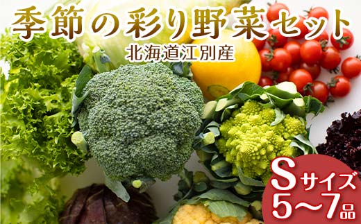 季節の彩り野菜セットSサイズ(5～7品) 野菜 詰め合わせ 新鮮 産地直送 北海道 江別市 EB8-0153