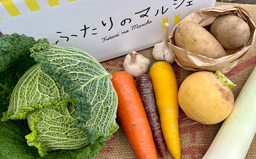 季節の彩り野菜セットSサイズ(5～7品) 野菜 詰め合わせ 新鮮 産地直送 北海道 江別市 EB8-0153