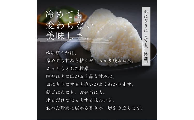 【定期便全2回】令和7年産 金王冠 精米 北海道産 ゆめぴりか 5kg 特A 白米 お米 こめ EB8-0504 