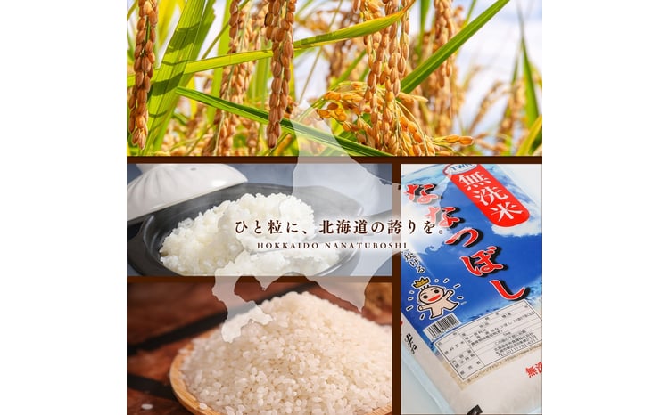 【定期便全2回】令和7年産 金王冠 無洗米 北海道産 ななつぼし 5kg 特A 白米 お米 こめ EB8-0509 
