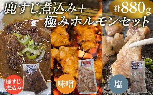 鹿すじ煮込み+ホルモンセット 合計880g(鹿すじ煮込み 480g・塩ホルモン 200g・味噌ホルモン 200g)  EB8-0329