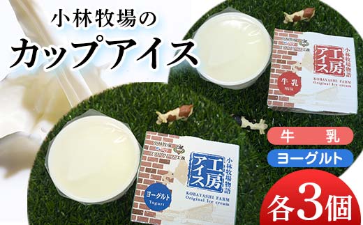 カップアイス　牛乳、ヨーグルト　各3個 EB8-0460 