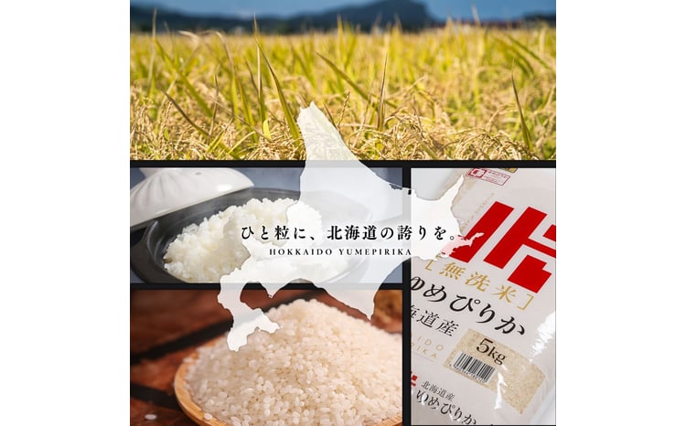 【定期便全2回】令和7年産 金王冠 無洗米 北海道産 ゆめぴりか 10kg (5kg×2) 特A 白米 お米 こめ EB8-0516 