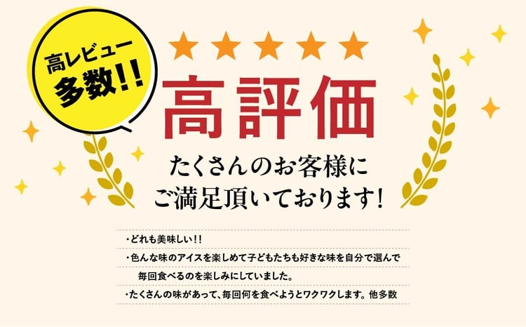【合計 22個】ジェラートおまかせ 22種セット EB8-0289 