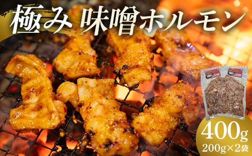 極み味噌ホルモン 400g(200g×2袋)  EB8-0324