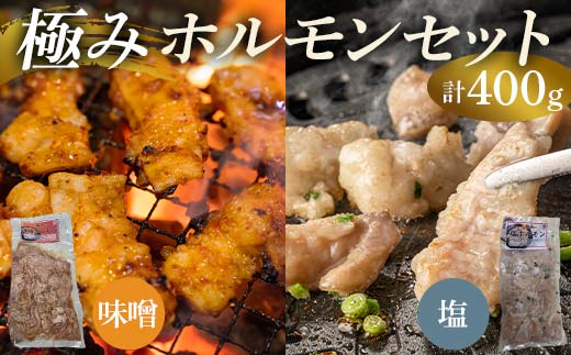 極みホルモンセット 合計400g(塩ホルモン 200g・味噌ホルモン 200g)  EB8-0328
