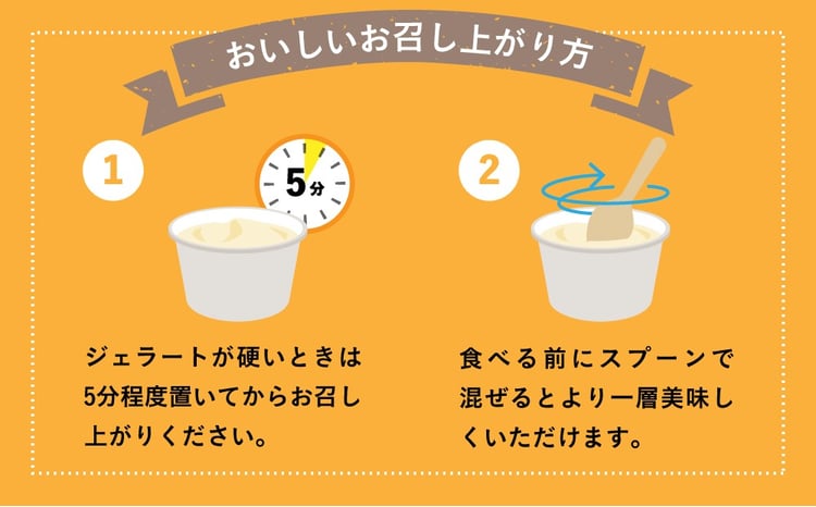 【合計　12個】ジェラートおまかせ 12個セット EB8-0291 