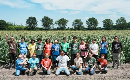 朝もぎ直送｜北海道江別産AmbitiousFarm　極甘スイートコーン　