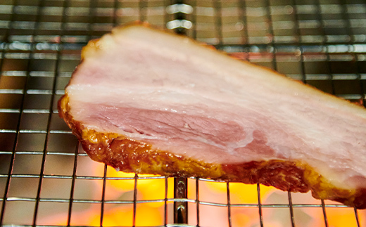 北海道産 バラエティセット ウィンナー ソーセージ 生ハム ベーコン 豚 豚肉 おかず おつまみ トンデンファーム 北海道 江別市 EB8-0792