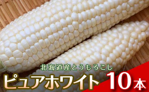【2026年8月中旬発送開始】北海道産とうもろこし（ピュアホワイト10本） EB8-0445 