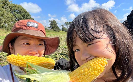 朝もぎ直送｜北海道江別産AmbitiousFarm　極甘スイートコーン　