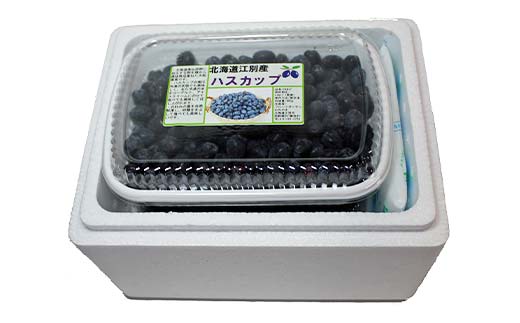【北海道の果実】江別産ハスカップ（冷凍）500g×2パック EB8-0217