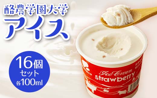 酪農学園大学アイス16個セット（各100ml） EB8-0135 