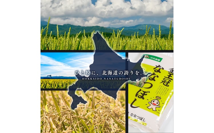 令和7年産 金王冠 精米 北海道産 ななつぼし 5kg 特A 白米 お米 こめ EB8-0519 