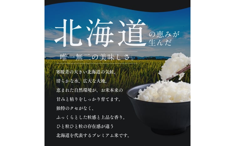 【定期便全2回】令和7年産 金王冠 精米 北海道産 ゆめぴりか 5kg 特A 白米 お米 こめ EB8-0504 