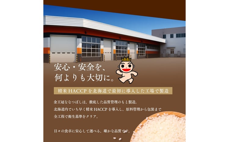 【定期便全2回】令和7年産 金王冠 無洗米 北海道産 ななつぼし 5kg 特A 白米 お米 こめ EB8-0509 