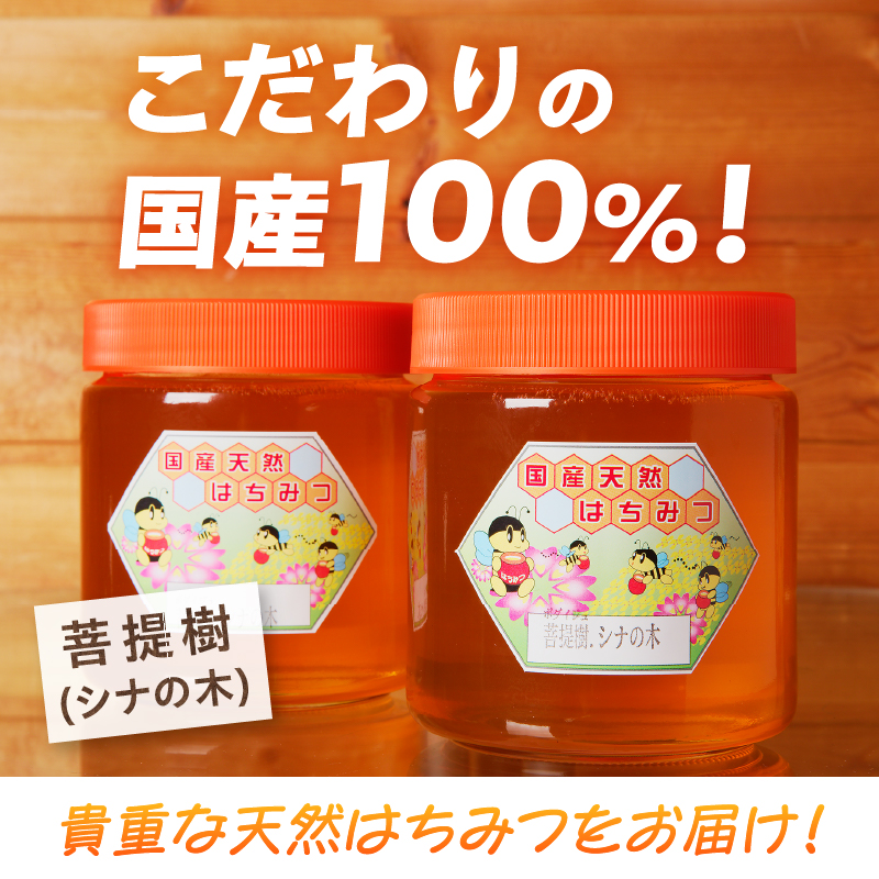 【北海道滝川産】高見養蜂場の純粋はちみつ(菩提樹、シナの木600g×2本)｜国産 日本製 天然 無添加 純粋 非加熱 生はちみつ ミツバチ ハニー 栄養 健康 美容 ビタミン ミネラル 抗生物質 プロポリス アミノ酸 濃厚 ギフト 贈答