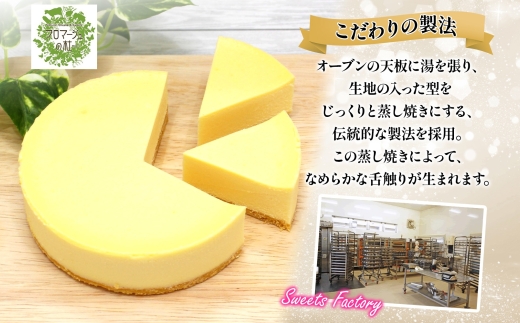 【プレミアムケーキ】 NYチーズケーキ 1個 しっとり なめらか 濃厚 お菓子 スイーツ おやつ