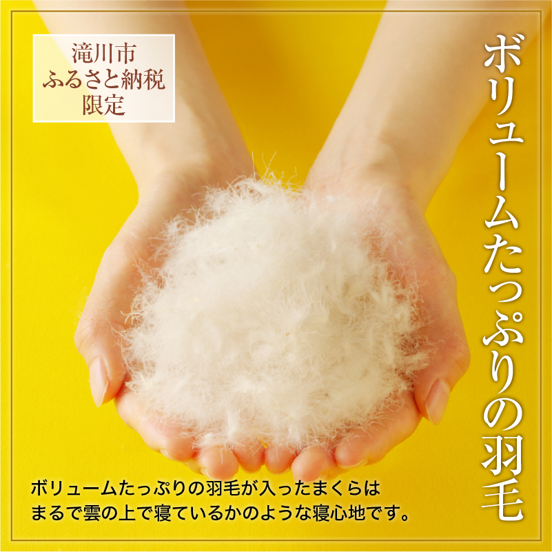 ダウン枕（大）枕カバー付き ホテル仕様 綿100% 完全国内生産 羽毛 枕 まくら 北海道滝川市