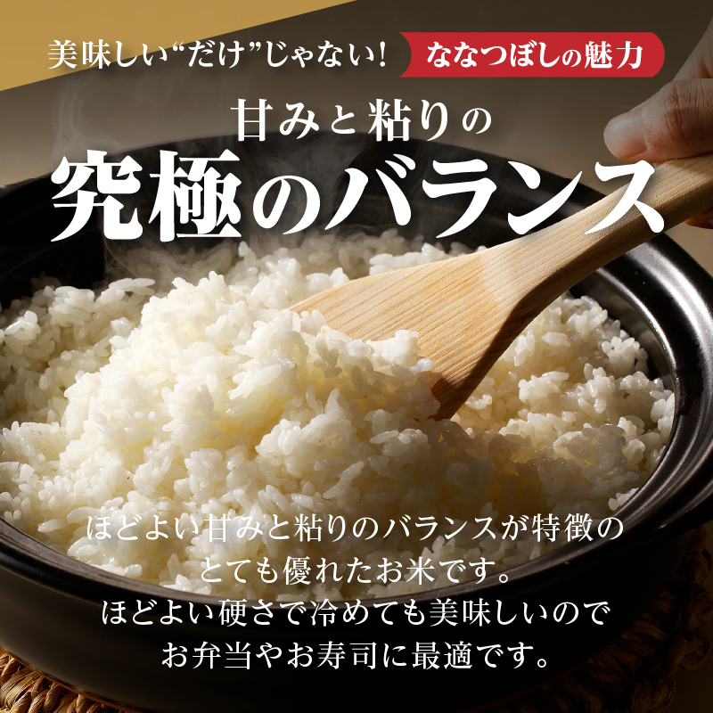 特A 北海道滝川産 ななつぼし 無洗米 10kg 12ヵ月定期便【R8年産】お米マイスター 新米 単一米 産地限定米 ブランド米 北海道米 北海道産 白米 精米 米 こめ お米 ご飯 おにぎり 道産 送料無料 むせんまい