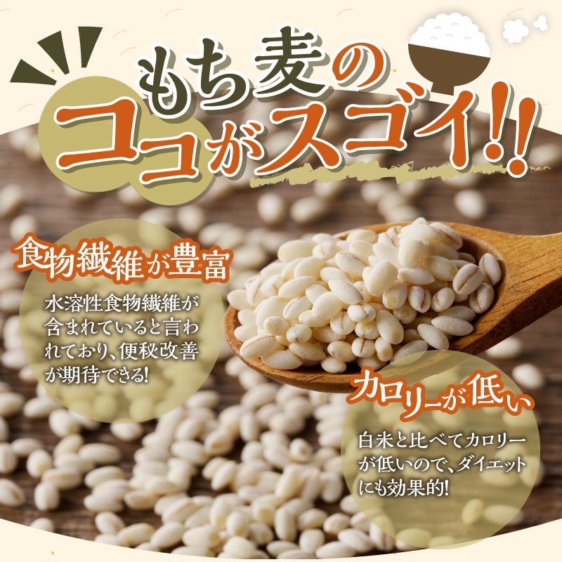 【豊富な食物繊維】もち麦3ヶ月連続お届け