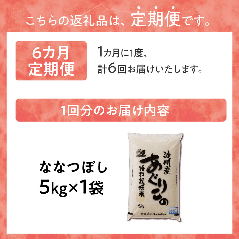 《令和7年産》特別栽培米ななつぼし 5kg×6ヵ月定期便 | 16年連続特A ブランド米 白米 精米 米 お米 こめ 減農薬 単一原料米 ご飯 北海道米 北海道 滝川市