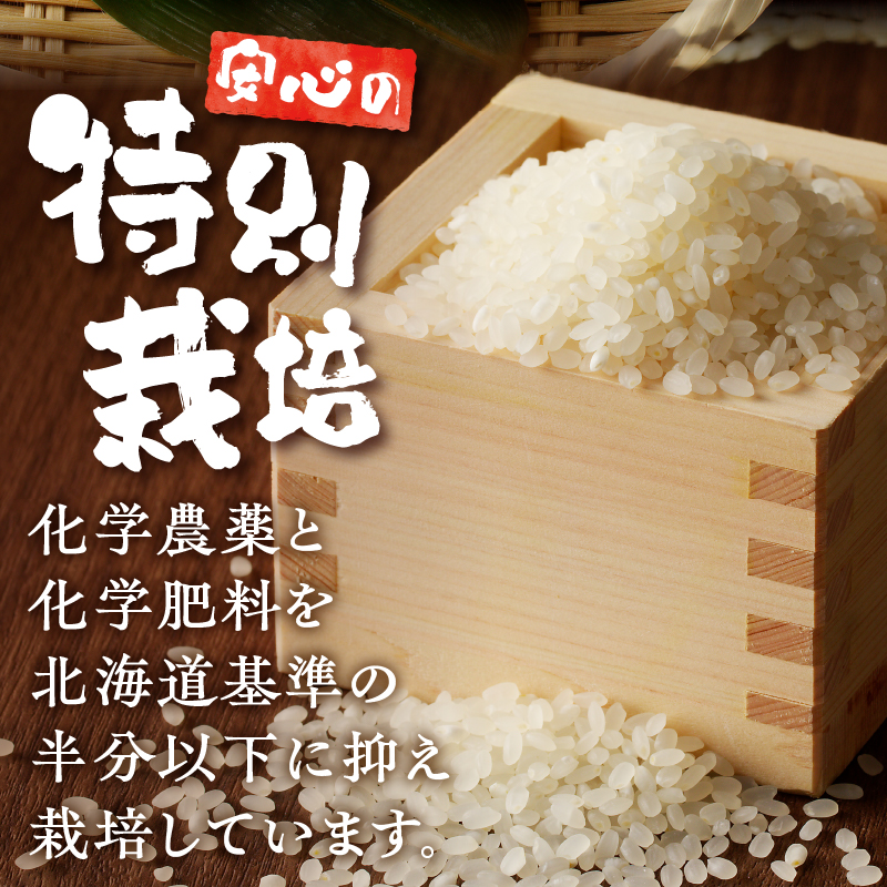 《令和7年産》特別栽培米ななつぼし 10kg×12ヵ月定期便 | 16年連続特A ブランド米 白米 精米 米 お米 こめ 減農薬 単一原料米 ご飯 北海道米 北海道 滝川市